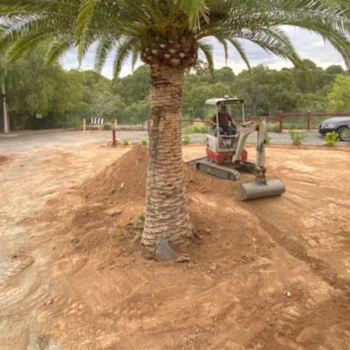excavation-land-levelling-landscaping_01_-bardell-excavations-lyndoch-gawler-barossa